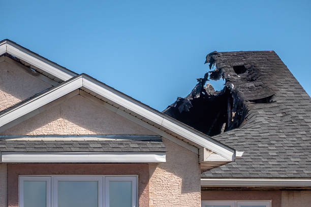 Top rated local Fire Damage Removal specialists in Aurora, MN